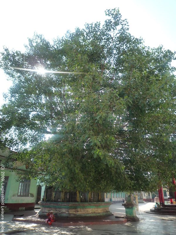 Shwemawdaw Pagoda17